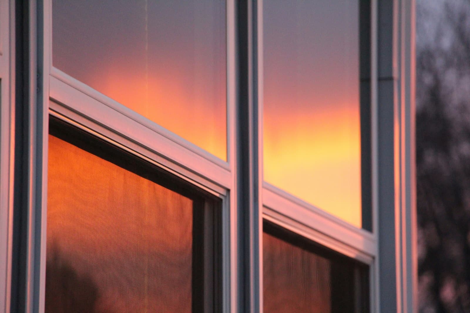 Windows & Glazing